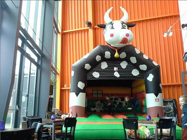 springkussen koe metropool hengelo