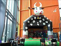 springkussen koe metropool hengelo